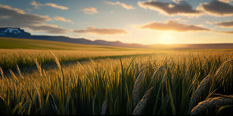 AI generates illustrations catcher