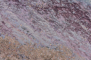 Top down view of seashore rocks