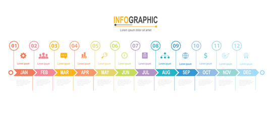 Infographic 12 steps Timeline in 1 year template business data illustration