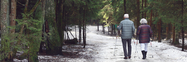 old elderly couple retired spouses walk in the park. elderly couple are doing scandinavian walk.