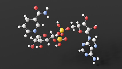 nadh molecule, molecular structure, coenzyme c21h29n7o14p2, ball and stick 3d model, structural chemical formula with colored atoms