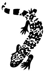 vector gila monster on a white background	