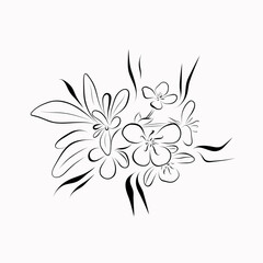 Continuous line drawing. line art apple blossom Vector