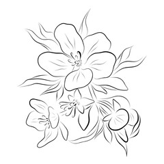 Continuous line drawing. line art apple blossom Vector