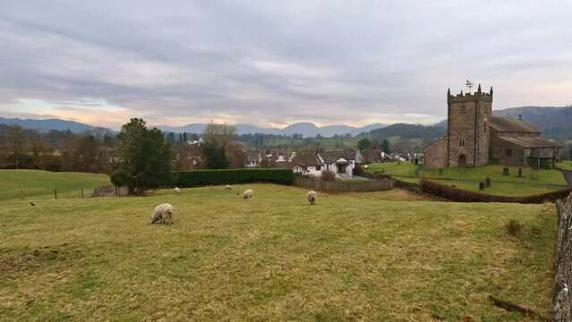 St Michael and All Angels Church in Hawkshead, showing fields and grazing sheep Cumbria, UK