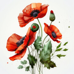 Red poppies isolated on a white background. Created with Generative AI.