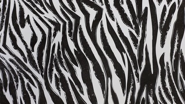 Zebra Skin Pattern Abstract Wallpaper Background  Black White Motion