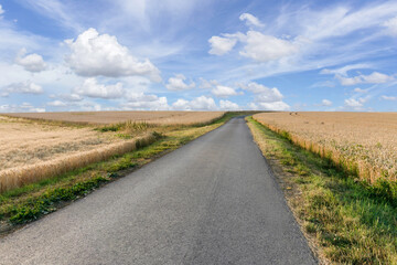 Blue sky and a sloped barley field are framed by an asphalt road.