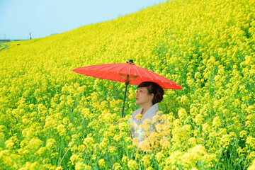 Japanese woman in a beautiful yellow flowers field