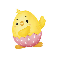 easter chicken with egg costume isolate.