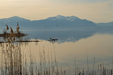 view over Chiemsee lake with the alps at the horizon