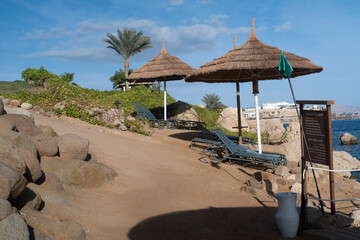 Relax under an umbrella on the beach of the Red Sea, Egypt