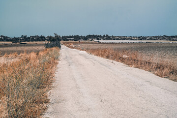 paesaggio rurale