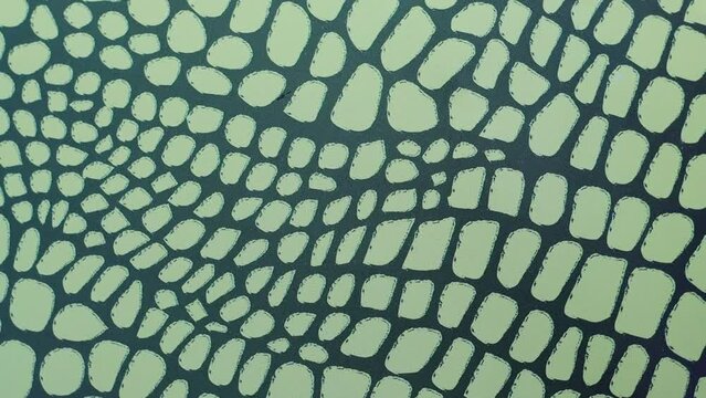 Alligator Skin Pattern Abstract Wallpaper Background Close Up Green Black Motion