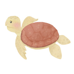 Sea turtle watercolor