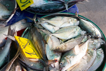 basket with fresh fish at the fish market