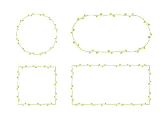Green vine frames and borders set, floral botanical design element vector illustration