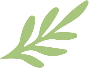Plant Leaf  Icon