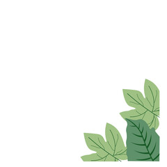 Corner Tropical Leaf Element