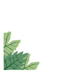 Corner Tropical Leaf Element