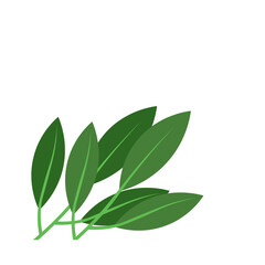 Corner Tropical Leaf Element
