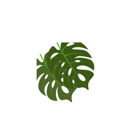 Fototapeta na wymiar Corner Tropical Leaf Element