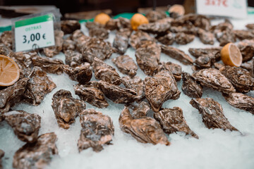 Oysters lie on the counter on ice in store. Oysters for sale at the seafood market. Fresh oysters selective focus. 