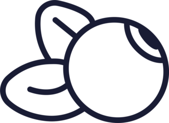  Icon  blueberry. Color sign  PNG, transparency. For mobile concept and web design, poster; app; package. 