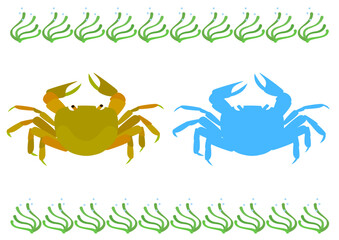 Set of crab and crab silhouette icons and eelgrass decorative border