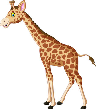 Giraffe Cartoon Posing