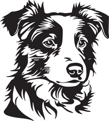 Border collie dog face isolated on a white background, SVG, Vector, Illustration.	