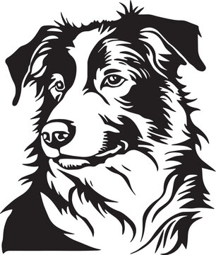 Border collie dog face isolated on a white background, SVG, Vector, Illustration.	