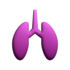 3d lungs organ