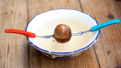 grow plant from avocado seed - love nature and plants in city apartment