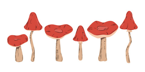 Leśne grzyby z czerwonymi kapeluszami. Sześć różnych grzybków. Muchomor, amanita muscaria. Botaniczna ilustracja wektorowa. - obrazy, fototapety, plakaty