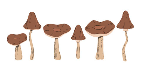 Leśne grzyby z brązowymi kapeluszami. Sześć różnych grzybków. Botaniczna ilustracja wektorowa. - obrazy, fototapety, plakaty