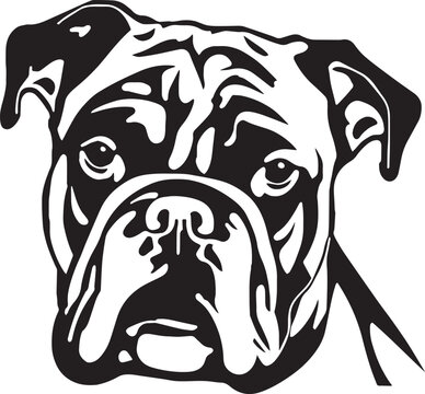 English Bulldog dog face isolated on a white background, SVG, Vector, Illustration.	