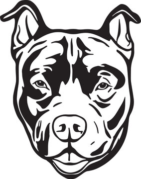 Pitbull dog face isolated on a white background, SVG, Vector, Illustration.	