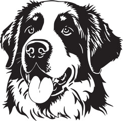 Saint Bernard dog face isolated on a white background, SVG, Vector, Illustration.	