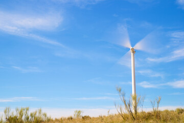 Wind turbine generator for green electricity production
