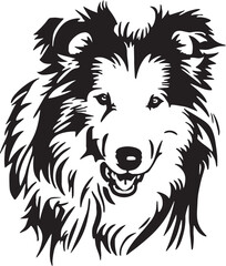 Shetland sheepdog  dog face isolated on a white background, SVG, Vector, Illustration.	