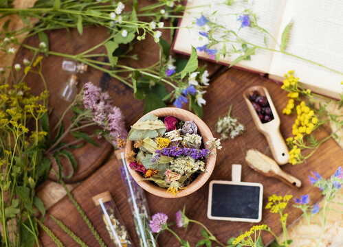 Homeopathy and herbal medicine concept