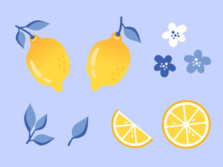Set of lemons elements in flat style. Lemon slices, white and dark blue flowers on a blue background