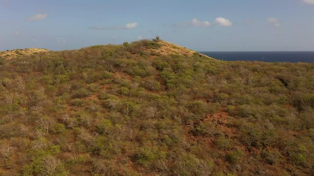 FPV aerial view over an island in the Caribbean