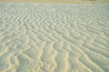 Desert landscape