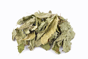 Getrocknete Bl&auml;tter der Zitronenmelisse auf wei&szlig;em Hintergrund