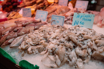 The squid caught by the fishermen are sold directly at the fish auction before being sold at the market. Shopping in an Spain Seafood Store, selective focus. 
