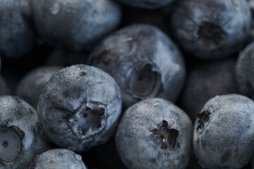Fresh clean blueberries with drops of water macro shot