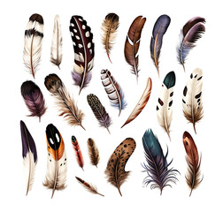 A collection of feathers with different colors design on isolated white background created with Generative AI technology