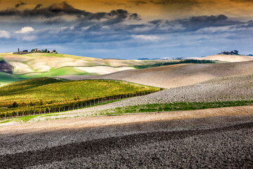 Asciano, SI. Paesaggio delle Crete Senesi